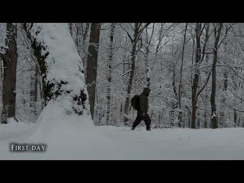 Winter Camping in Deep Snow | No Sleeping Bag, Freezing Forest, Cozy Shelter & Meat BBQ by the Fire
