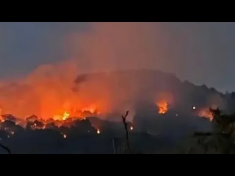 СТРАШНАЯ АТАКА НА НОВОРОССИЙСК - ПЛАЧУ ОТ УЖАСА: погибли люди, среди них ребенок