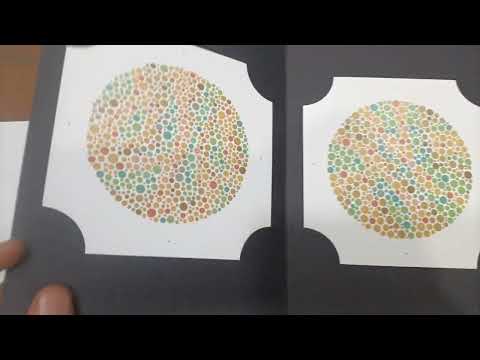 Ishihara Color Blindness Test Book Original 2023 Edition 38 Plates