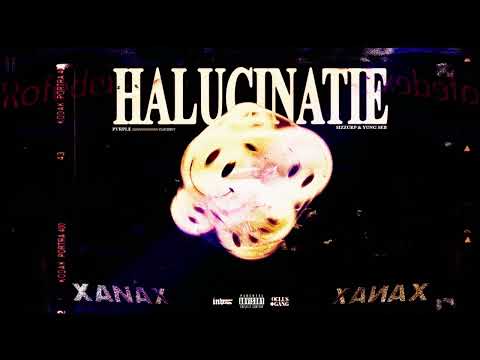Pvrple - HALUCINATIE ft. Sizzurp & Yung Seb