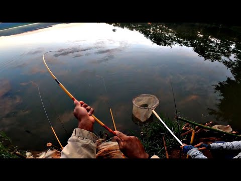 It was only dawn at the camp that the Fish arrived, just brutal 😱