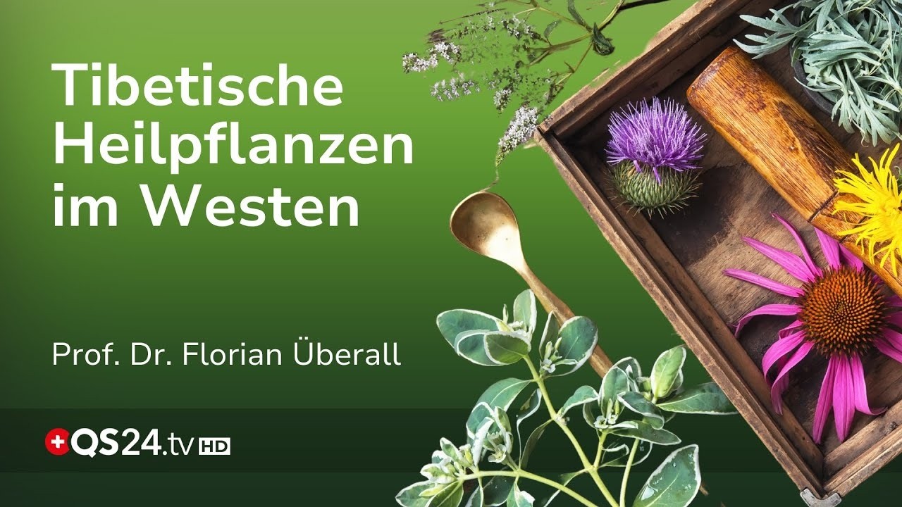 Tibetische Medizin im Westen: Altes Heilwissen trifft moderne Forschung | QS24