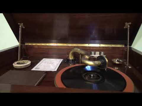 Billy Hays and His Orch. ~ When Carolina Smiles ~ 1929