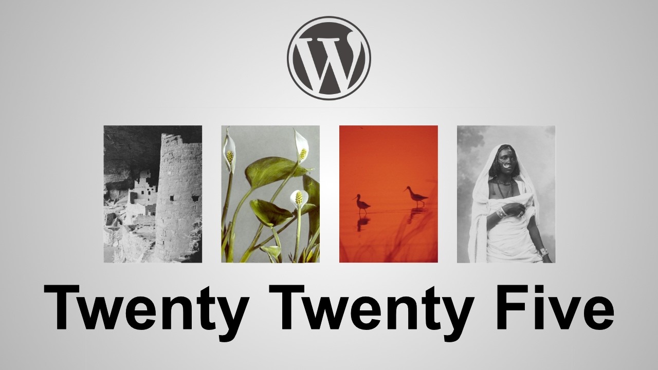 Tutorial de Twenty Twenty Five de WordPress