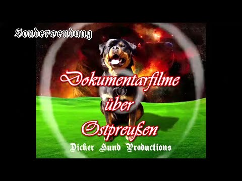 Dicker Hund Sondersendung Ostpreußen/East Prussia Special (Dokumentationen/documentary films)