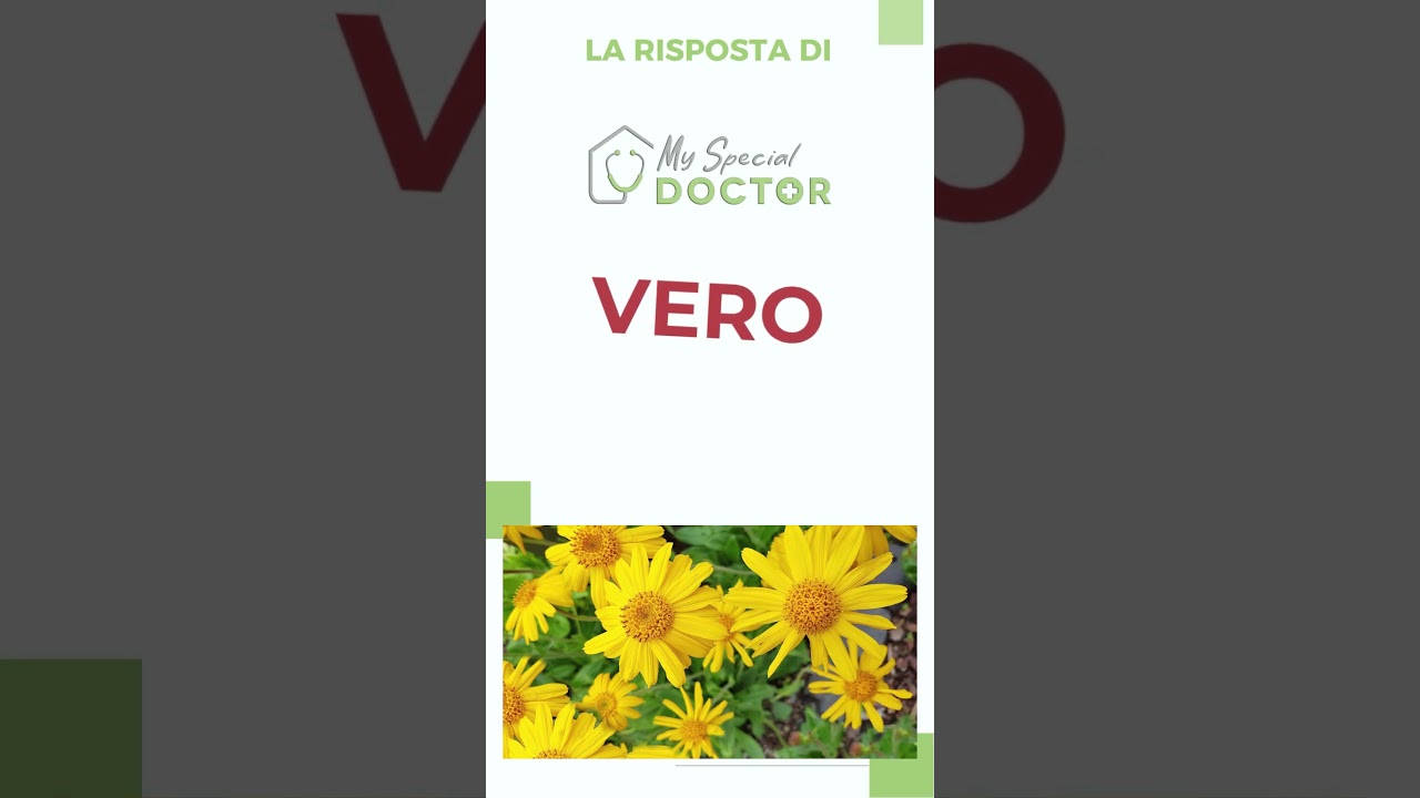 52 - L'arnica montana è un antinfiammatorio naturale?  - My Special Doctor