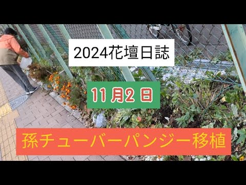  17 の賢いアイデアで冬のバルコニーを魅力的に飾りましょう!  庭園