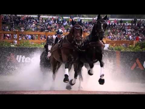FEI World Cup Driving: Budapest