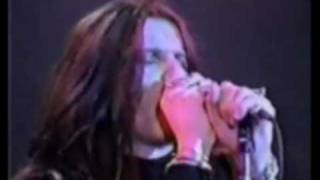 \\ THE CULT // ~ WONDERLAND [FAN+VIDEO]