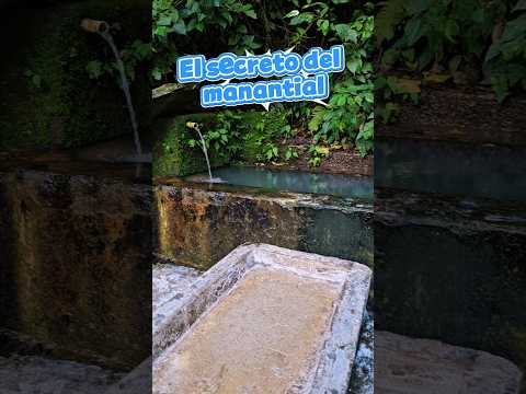 El manantial eterno de San Pedro Nonualco 💧