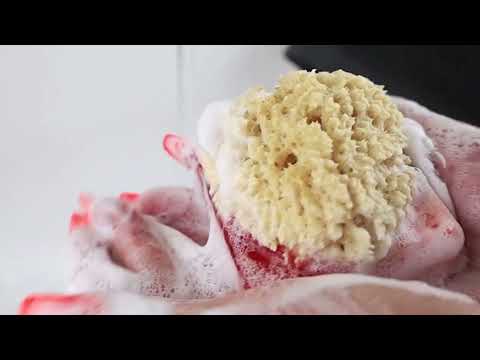 Primal Elements SpongeBar Soap