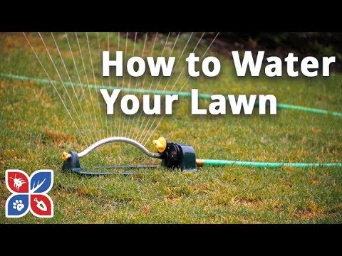  Do My Own Lawn Care - How to Water a Lawn Video 