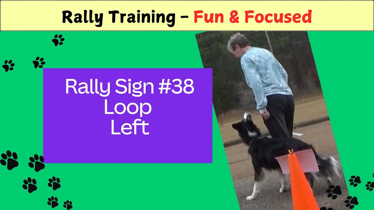 Rally Sign #38 Loop Left - Training Fun & Focused - DebbyQuigley.com