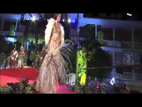 Hinarani De Longeaux, Miss France Universe 2013