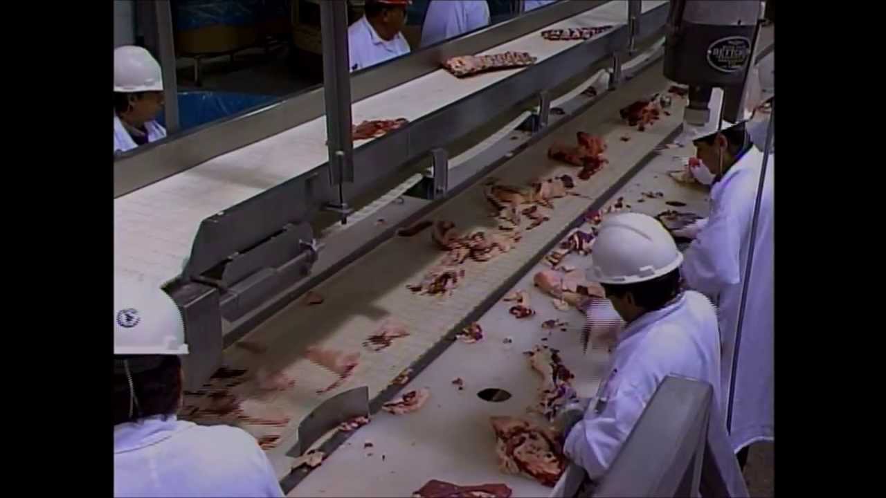 Introduction to HACCP Principles