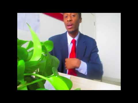 Andre A video