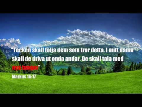 Guds Rike och Andedopet