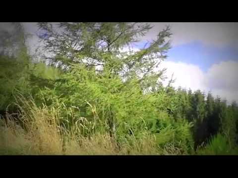 Durau Cazare - Cazat.ro