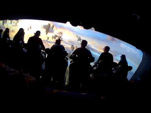 Movement Flight of Passage - Disney's Animal Kingdom