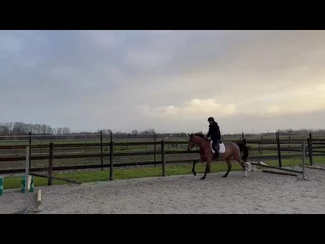 Mbappé Van't Prinsenveld Z