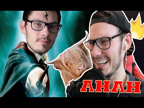YTK -  CATA ist unfreundlich zu RINDERN | LACHFLASH [Reaction]