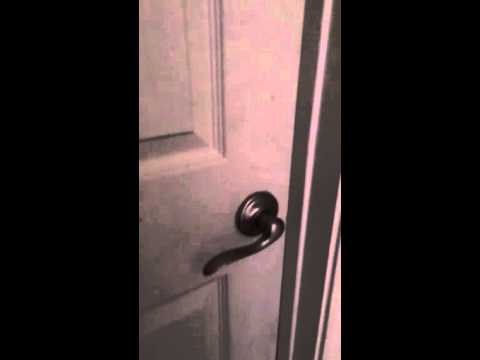 Brenna happy birthday