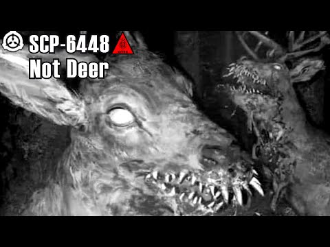 SCP Decoded Reading: SCP-6448 Not Deer