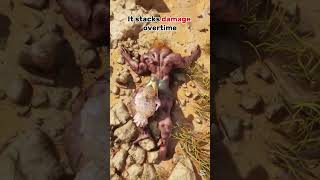 What’s a BLEED effect in ARK : Survival Ascended ?