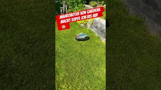 Mähroboter von GARDENA. Super bis auf das er keine Rand mäht was aber mein Fehler war.