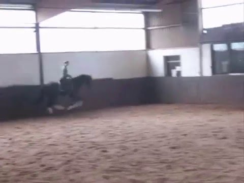 Sandro knapp 6 Monate unterm Sattel