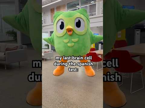 soy una papa #duolingo #languagelearning