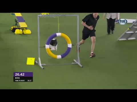 16" Class Masters Agility Championship Winner
