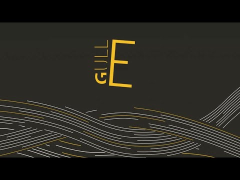 gullE 2020 Livestream