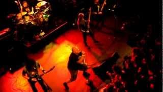 English dogs Ordeal by fire