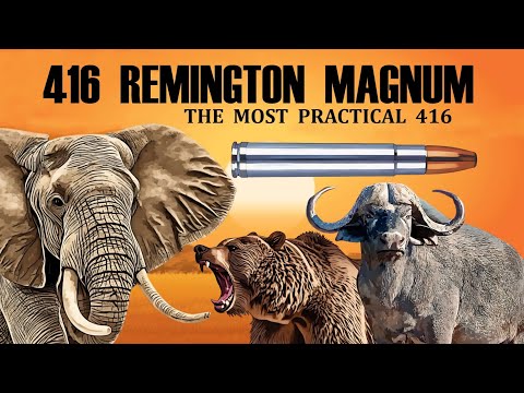 416 REMINGTON MAGNUM: The most practical 416
