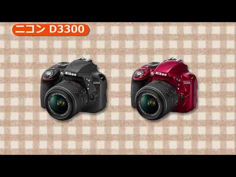 D3300 中古 21,000円 | ネット最安値の価格比較 プライスランク