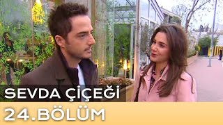 Sevda Çiçeği 24. Bölüm