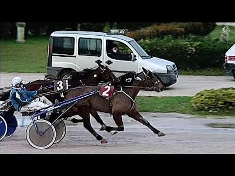 Aversa trotto 9 Gennaio 2021 - 7° Corsa