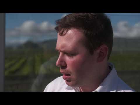 Timmy Burner - B.S. (Official Music Video)