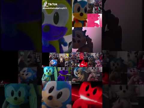 351 Sonics to death you