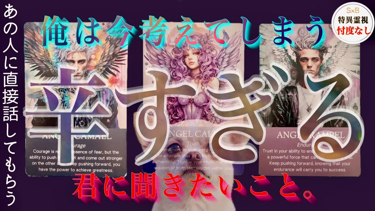 【霊視】⚪︎⚪︎で辛すぎました。忖度なし・タロット・復縁・片思い・交際中・複雑恋愛