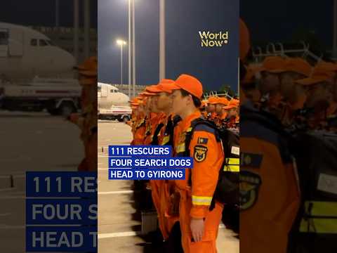111 rescuers, four search dogs head to Gyirong #worldnow