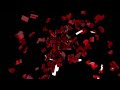 FilmRise/Millennium Ent./Minds Eye Ent./Forecast Pictures/Radar Films/Frantic Films (2018/2011)