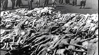 Piled up corpses of Nazi concentration camp victims in Mauthausen, Austria. HD Stock Footage