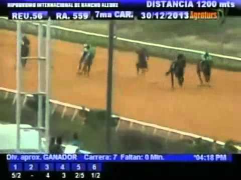 Resumen Lunes, 30 de Diciembre de 2013 - Rancho Alegre