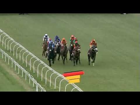 MALMOOS - World Sports Betting Gauteng Guineas