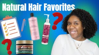 It's A TIGHT LIST | 2024 Natural Hair Favorites | Minksmas Day 3 🎁