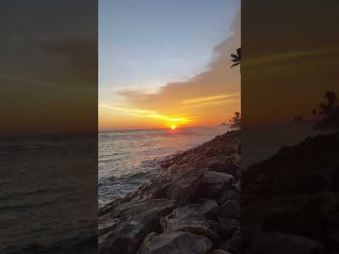 Sunset At The Beach #shorts