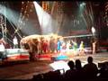 Ringling Brothers Barnum And Bailey Circus