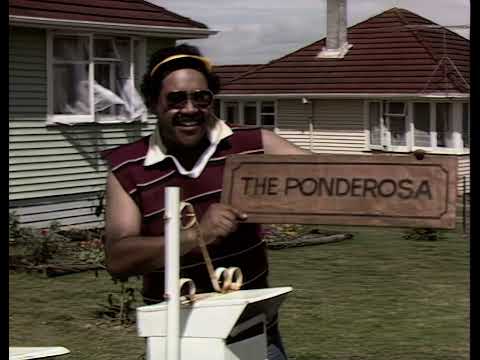 Billy T. James - Home Improvements